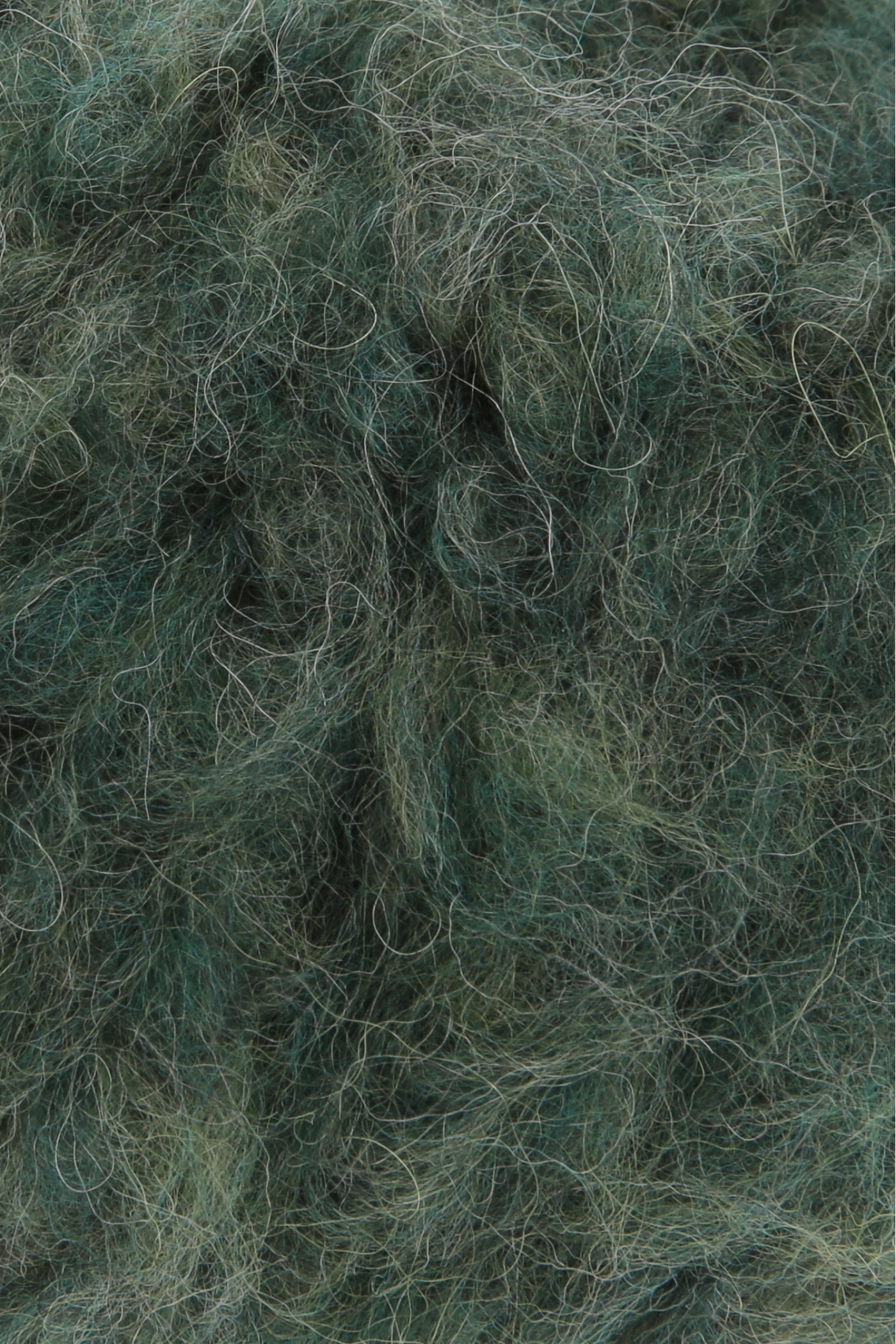 SHIRLEY , 50g 45m