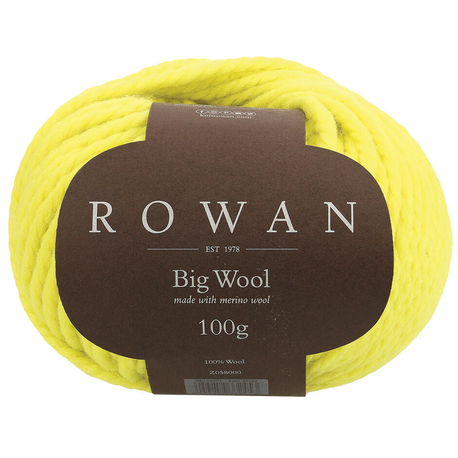 BIG WOOL by ROWAN, 100g ball